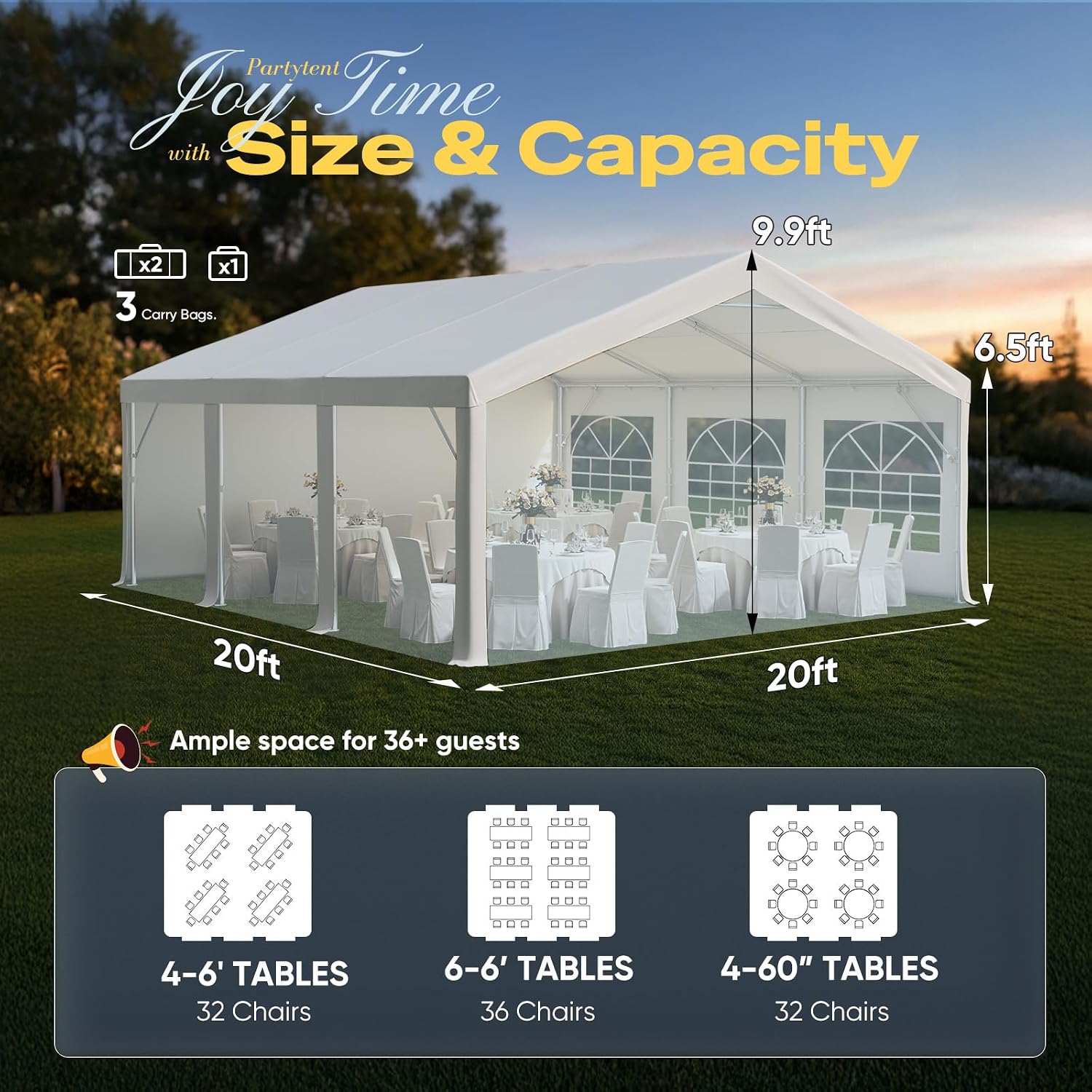 20x20 Ft. Canopy Tent