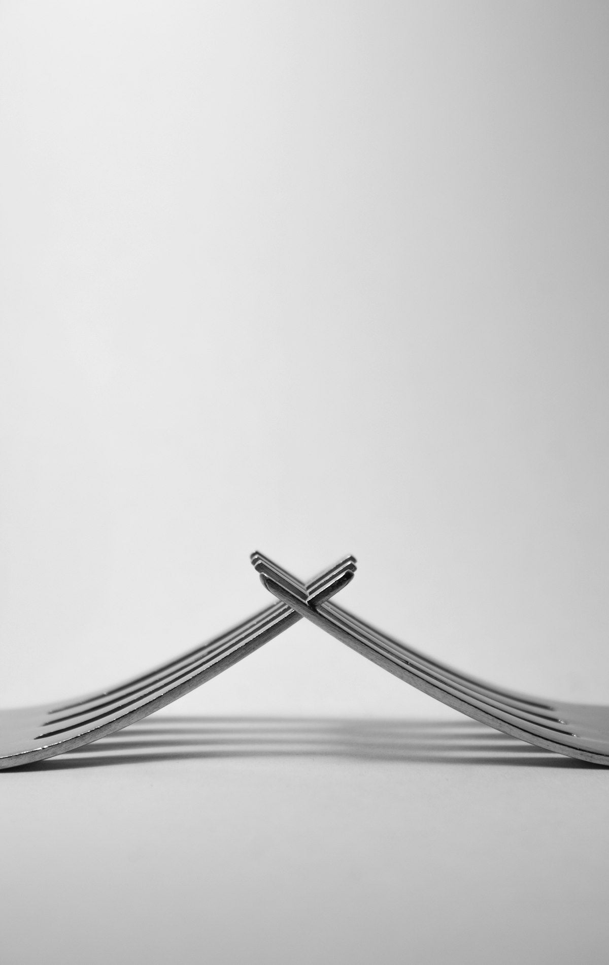Stainless steel dinner fork